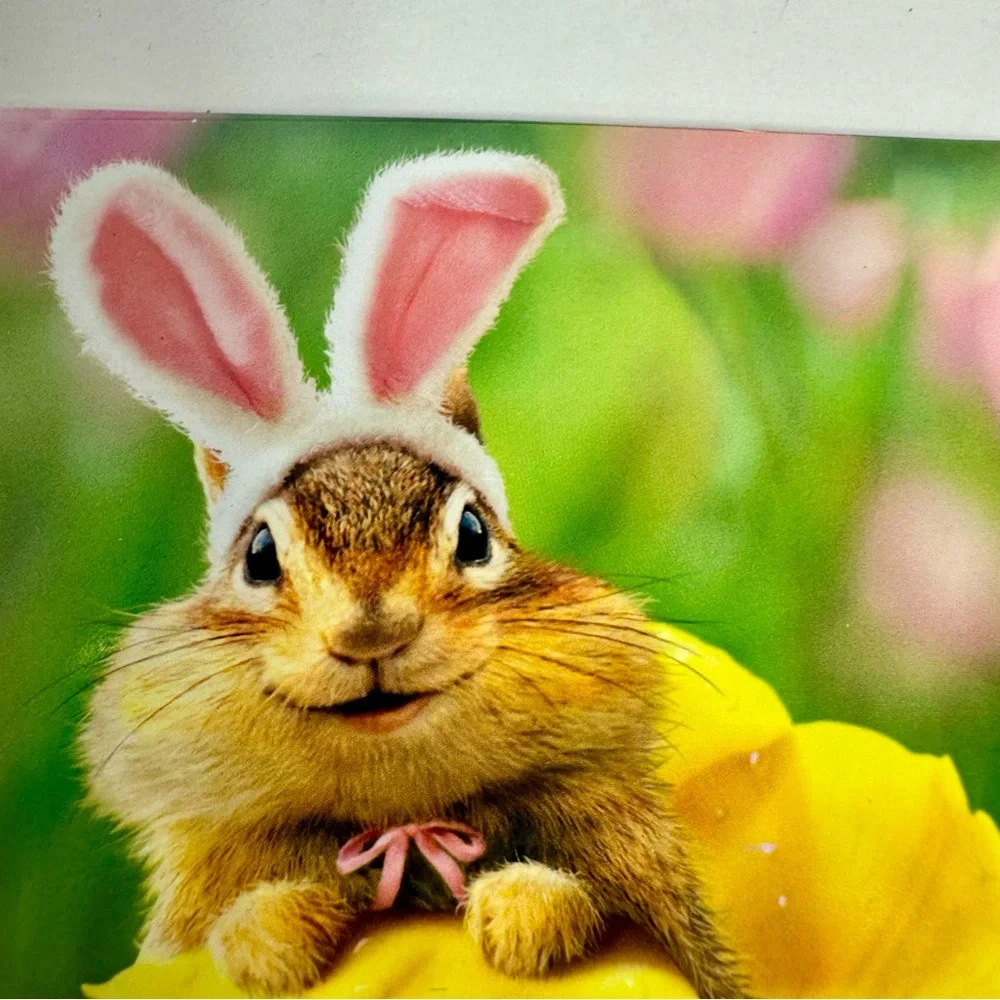 4 Avanti Greeting cards -chipmunk in yellow flower with bunny ears. Easter.